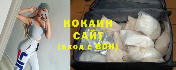 кокс Алексин