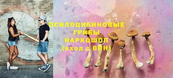 стаф Алзамай