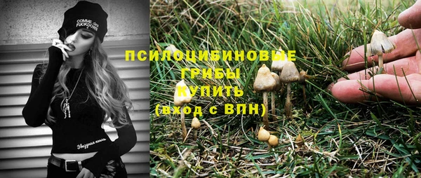 кокс Алексин